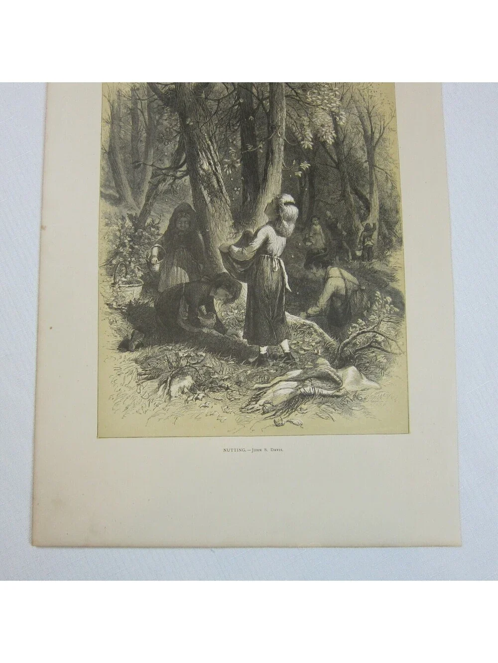 Antique 1873 Wood Engraving Print Nutting by John S. Davis, The Aldine, Children